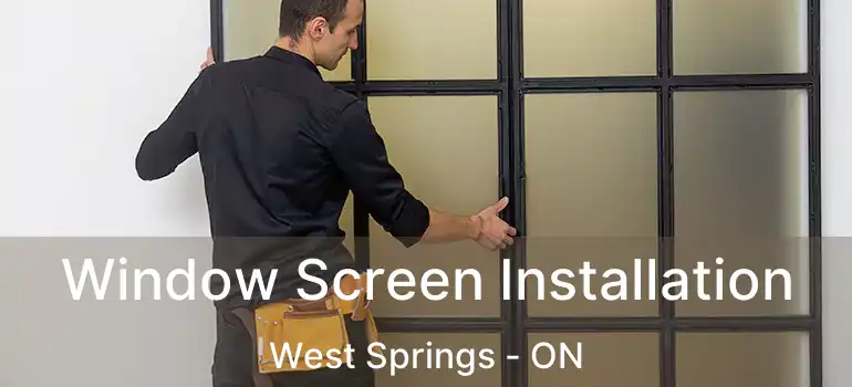Window Screen Installation West Springs - ON