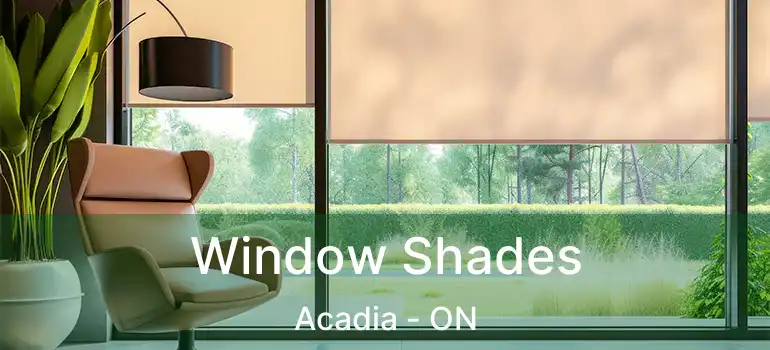 Window Shades Acadia - ON