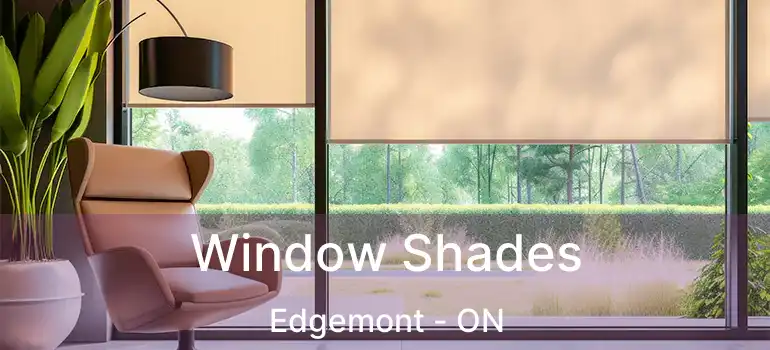 Window Shades Edgemont - ON