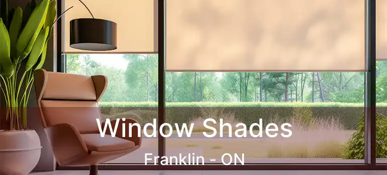 Window Shades Franklin - ON