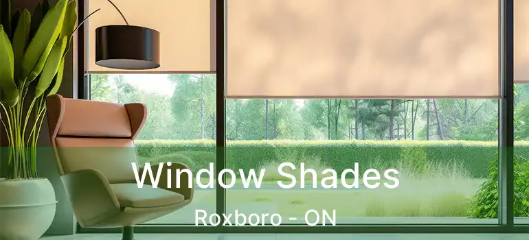 Window Shades Roxboro - ON