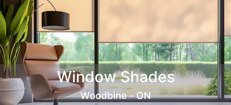 Window Shades Woodbine - ON