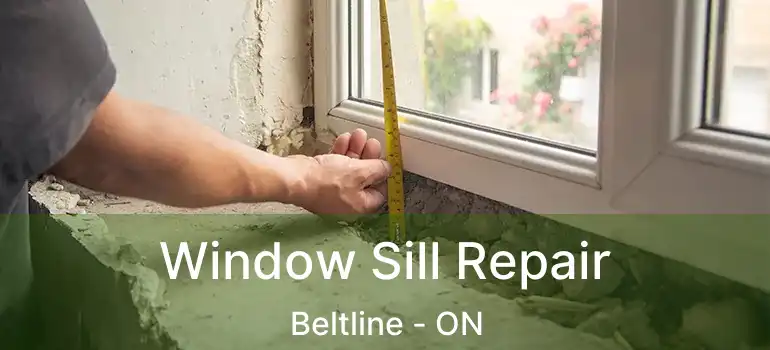 Window Sill Repair Beltline - ON