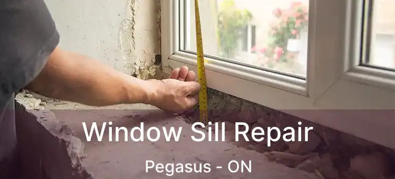 Window Sill Repair Pegasus - ON
