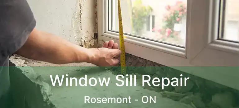 Window Sill Repair Rosemont - ON
