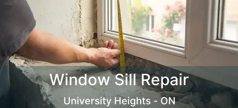 Window Sill Repair University Heights - ON