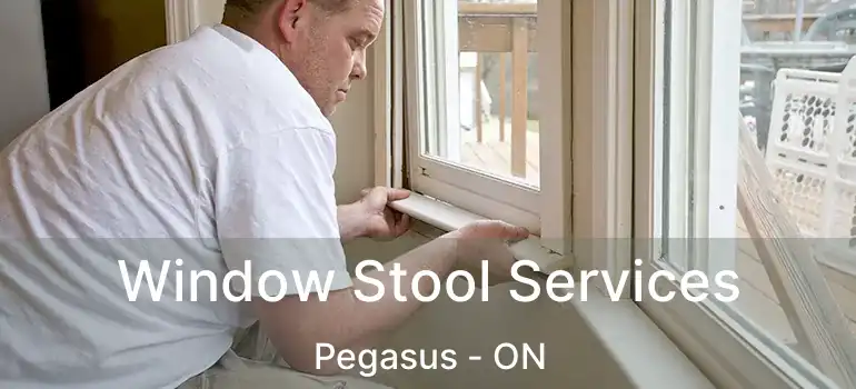 Window Stool Services Pegasus - ON