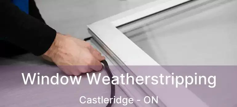 Window Weatherstripping Castleridge - ON