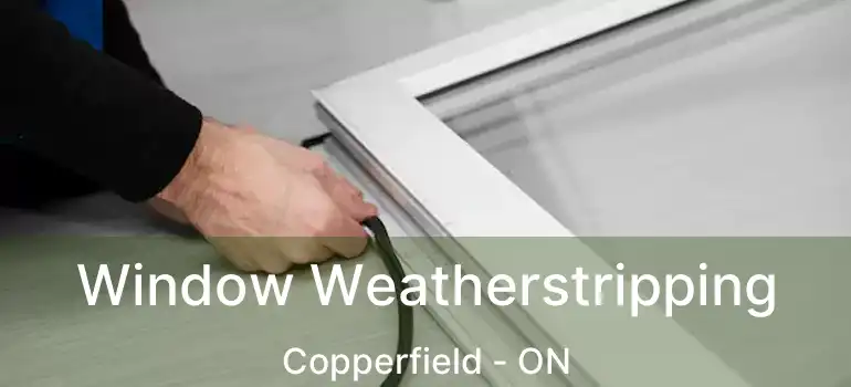 Window Weatherstripping Copperfield - ON