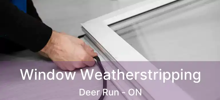 Window Weatherstripping Deer Run - ON