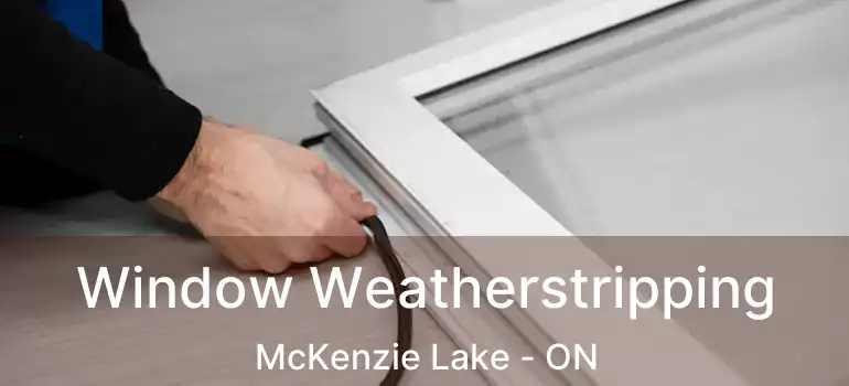 Window Weatherstripping McKenzie Lake - ON