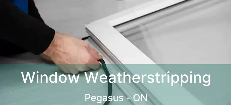 Window Weatherstripping Pegasus - ON