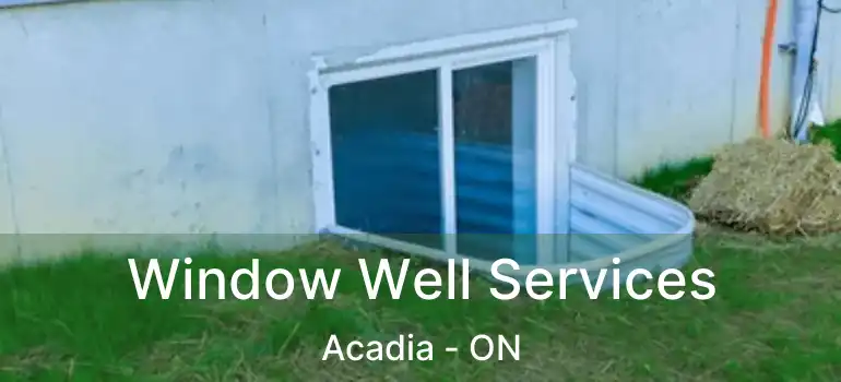 Window Well Services Acadia - ON