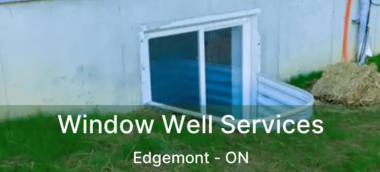 Window Well Services Edgemont - ON