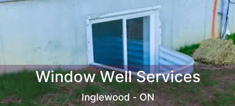 Window Well Services Inglewood - ON