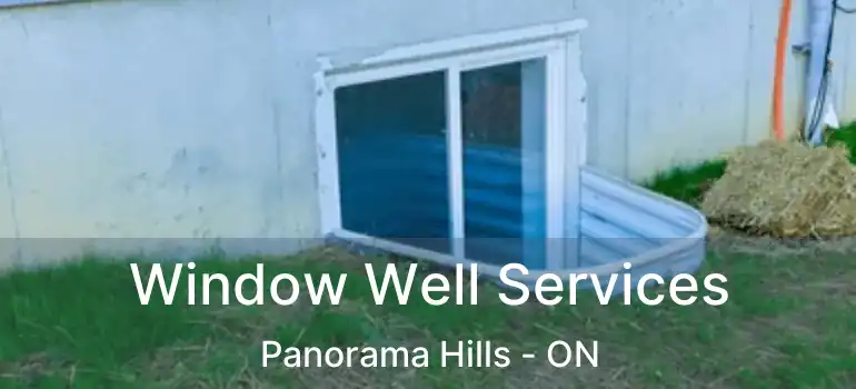 Window Well Services Panorama Hills - ON