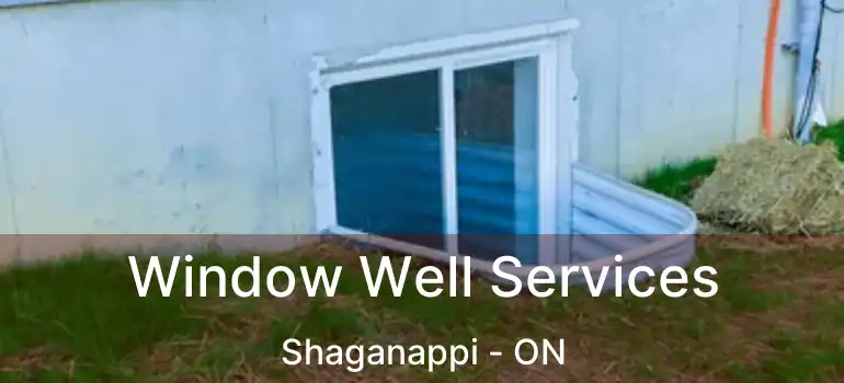 Window Well Services Shaganappi - ON